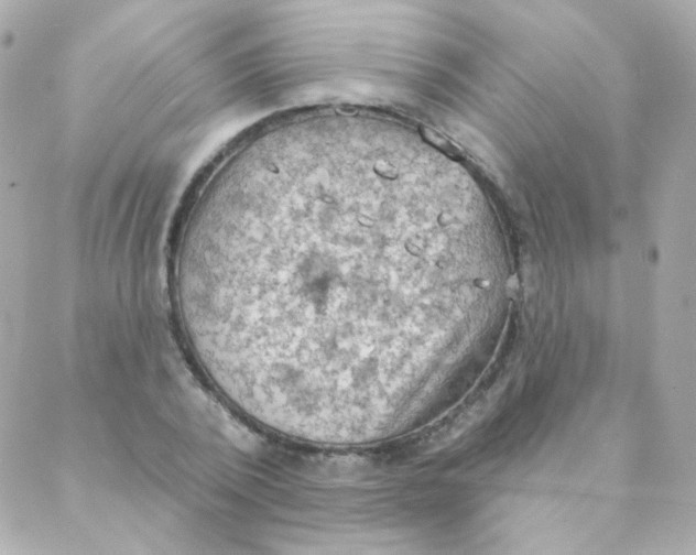 X0000088220784200706051321