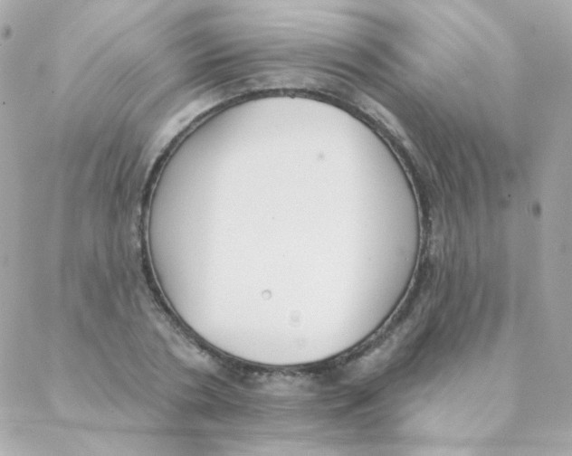 X0000088220786200706051321