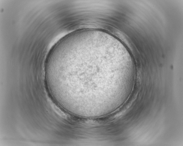 X0000088220787200706051321