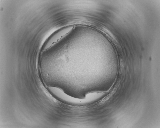 X0000088220788200706051321