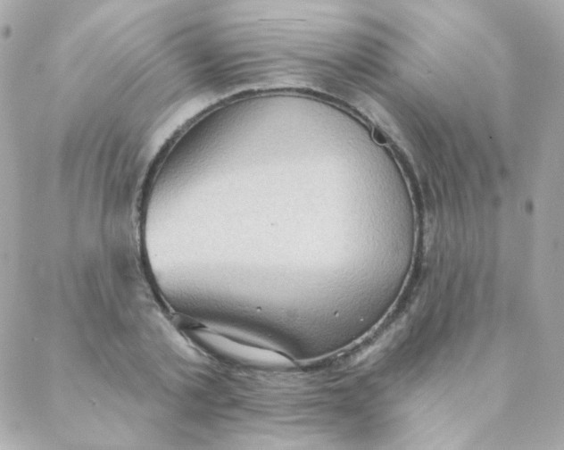 X0000088220789200706051321