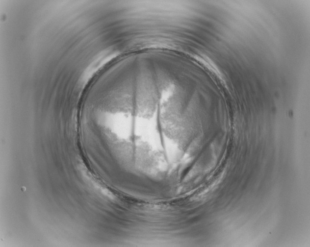 X0000088220790200706051321