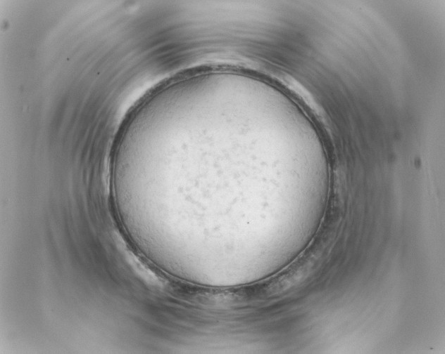 X0000088220791200706051321