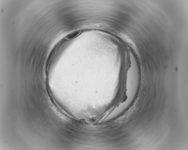 X0000088220792200706051321