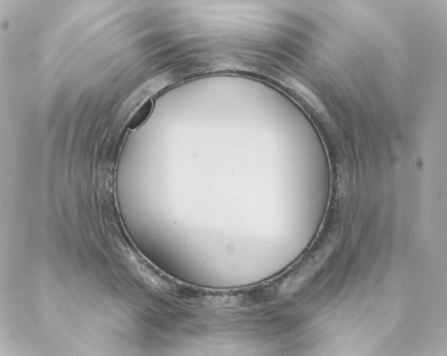 X0000088220793200706051321