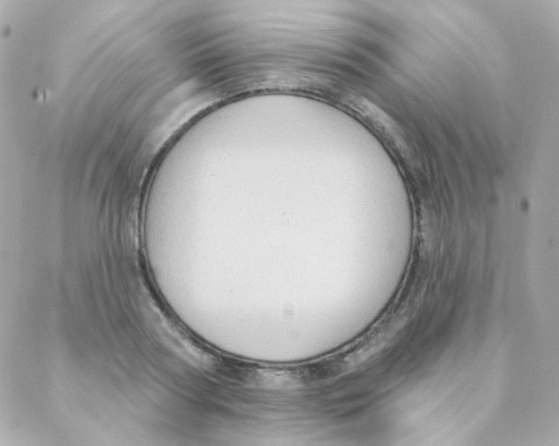 X0000088220794200706051321