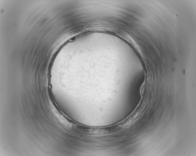 X0000088220795200706051321