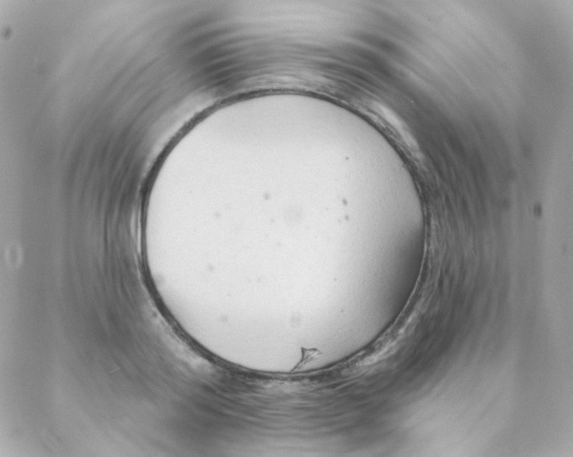 X0000088220796200706051321