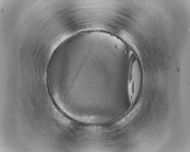 X0000088220797200706051321