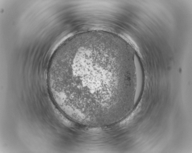 X0000088220798200706051321