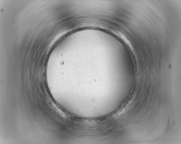 X0000088220799200706051321