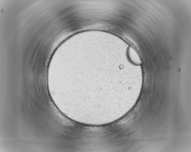 X0000088220800200706051321