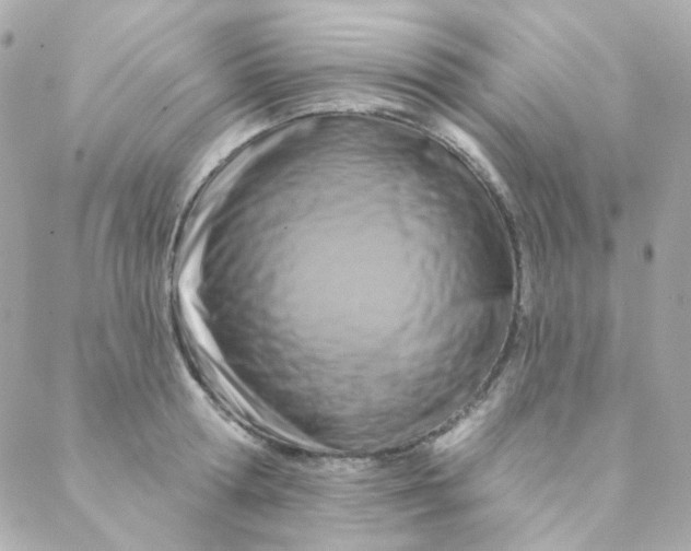 X0000088220802200706051321