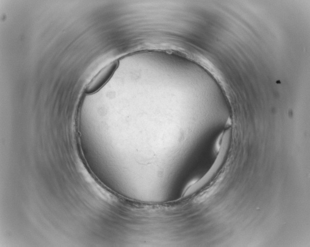 X0000088220803200706051321