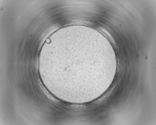 X0000088220804200706051321