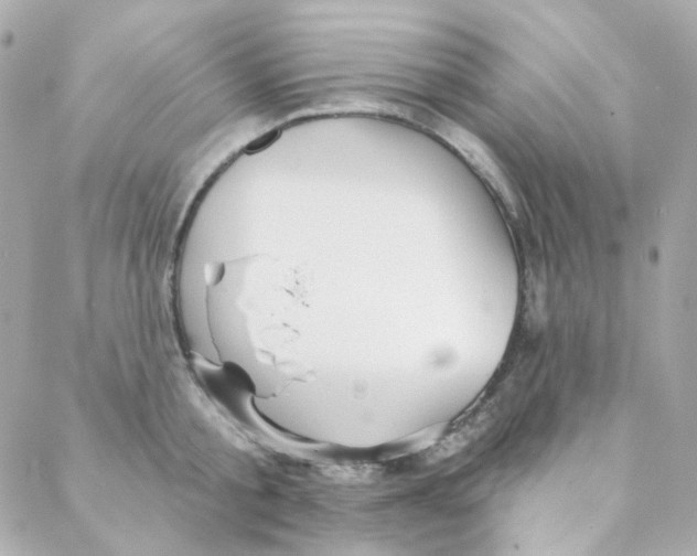 X0000088220805200706051321