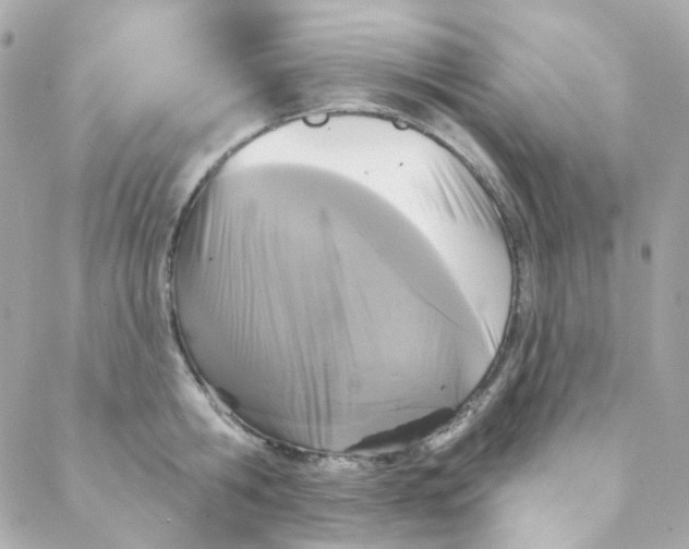 X0000088220806200706051321