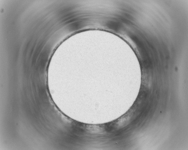 X0000088220807200706051321