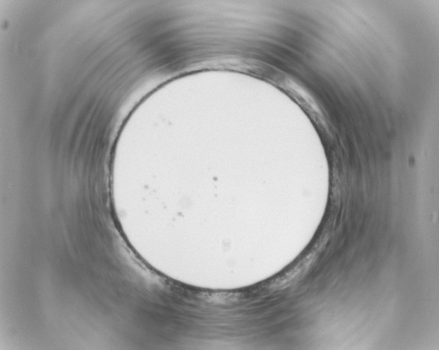 X0000088220808200706051321