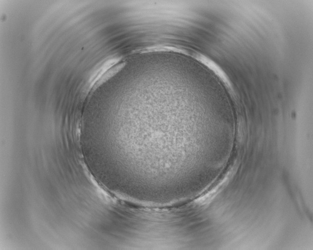 X0000088220809200706051321