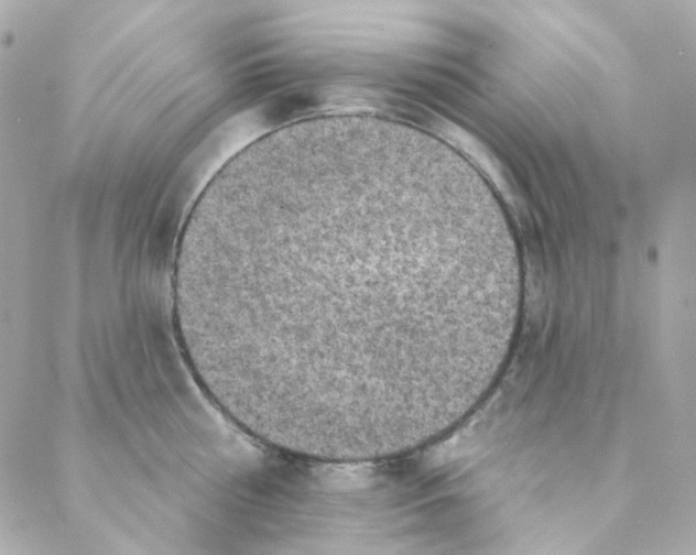 X0000088220810200706051321