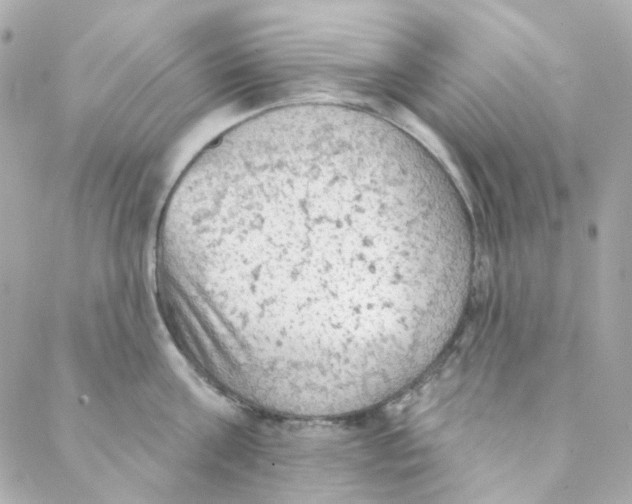 X0000088220811200706051321