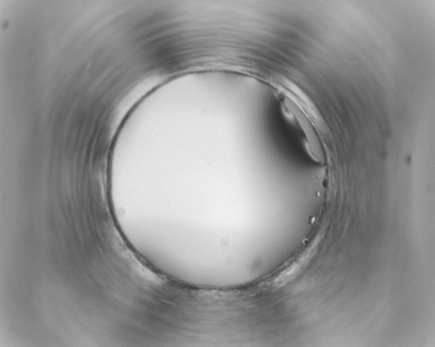 X0000088220812200706051321