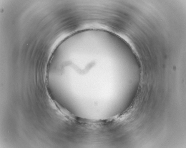 X0000088220815200706051321