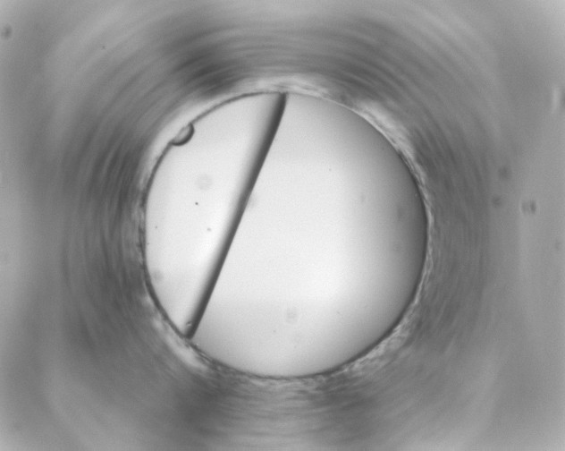 X0000088220816200706051321