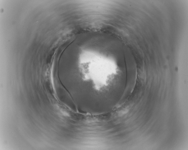 X0000088220818200706051320