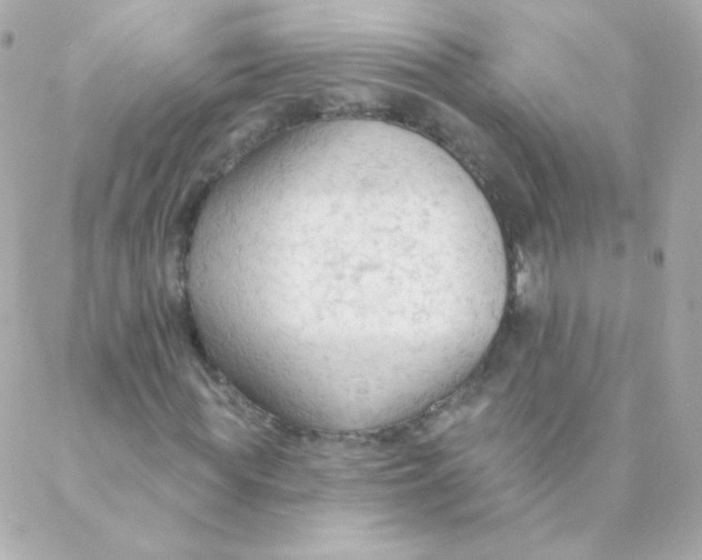 X0000088220819200706051320