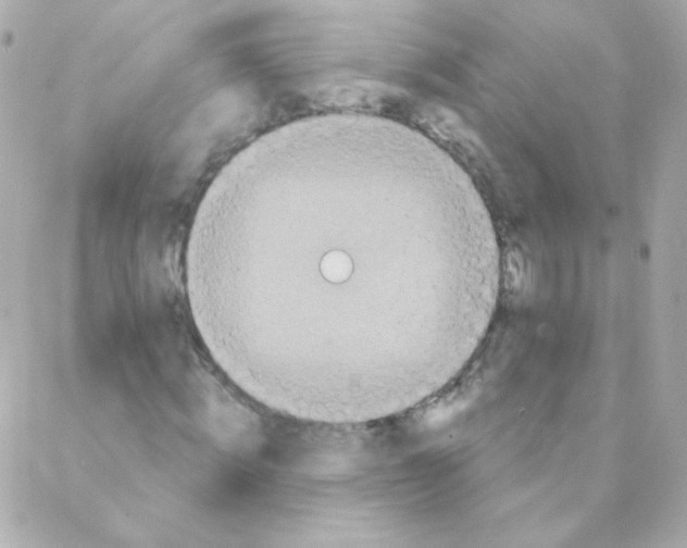 X0000088220820200706051320