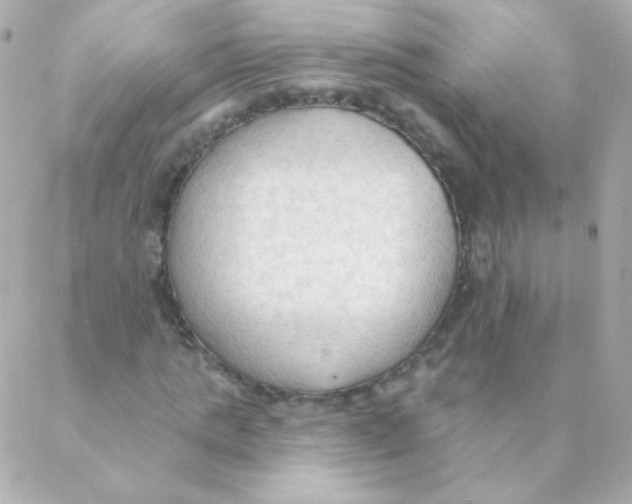 X0000088220821200706051320