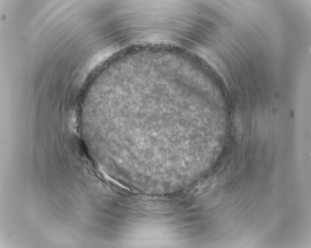 X0000088220823200706051320