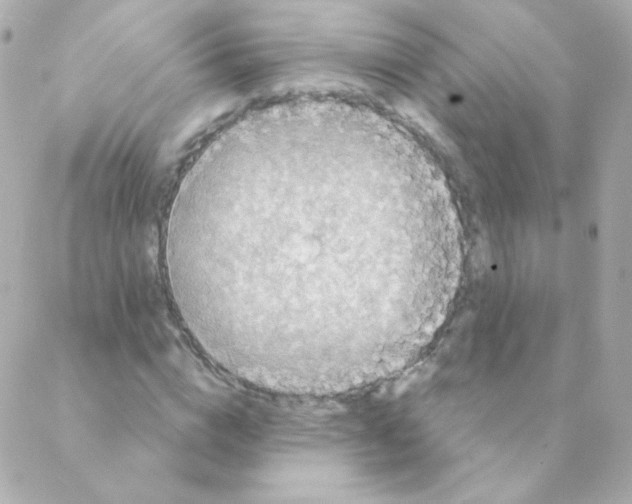 X0000088220824200706051320