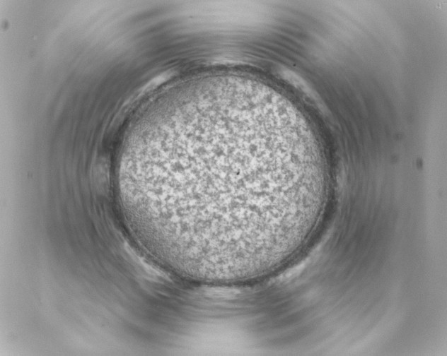 X0000088220825200706051320