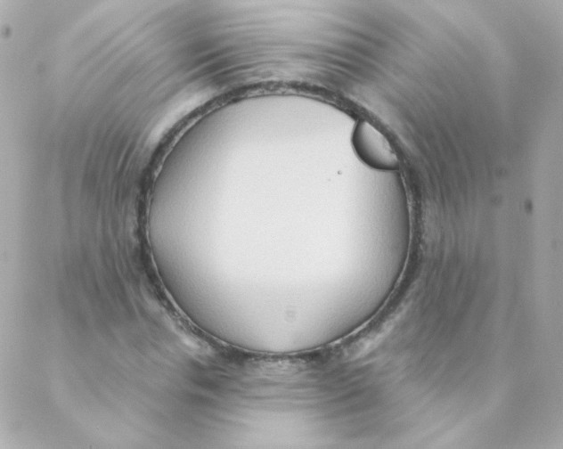 X0000088220826200706051320