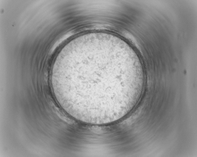 X0000088220827200706051320