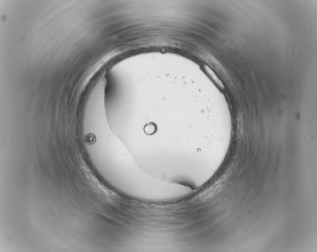 X0000088220828200706051320