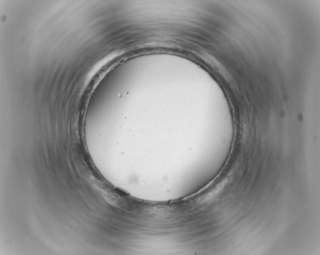 X0000088220830200706051320