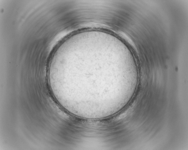 X0000088220831200706051320