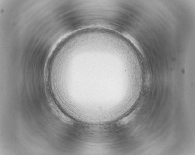 X0000088220832200706051320