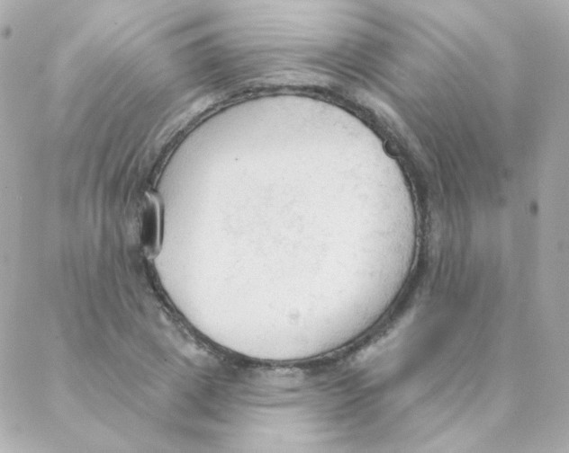 X0000088220833200706051320