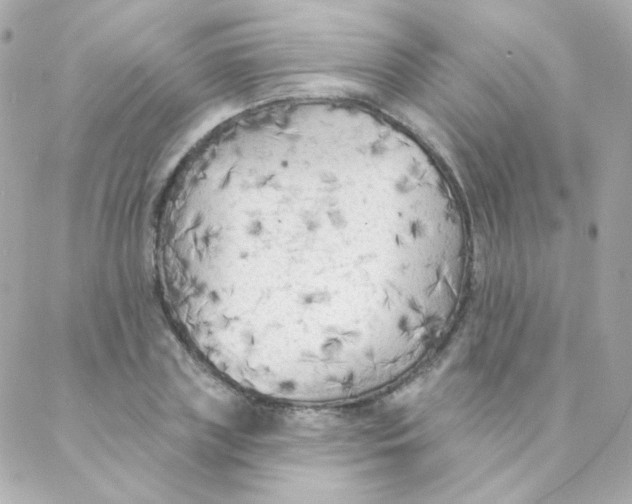 X0000088220835200706051320