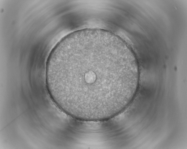 X0000088220836200706051320