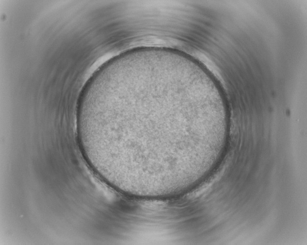 X0000088220837200706051320