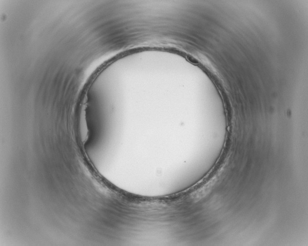 X0000088220838200706051320