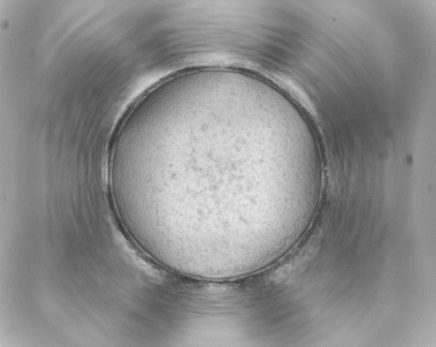 X0000088220839200706051320