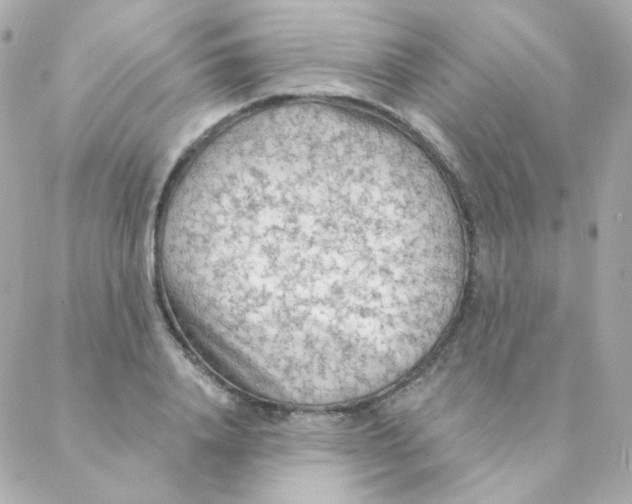 X0000088220840200706051320