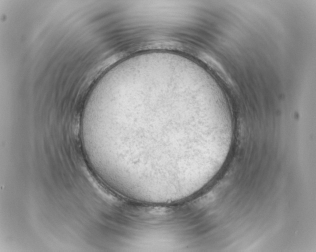 X0000088220841200706051320